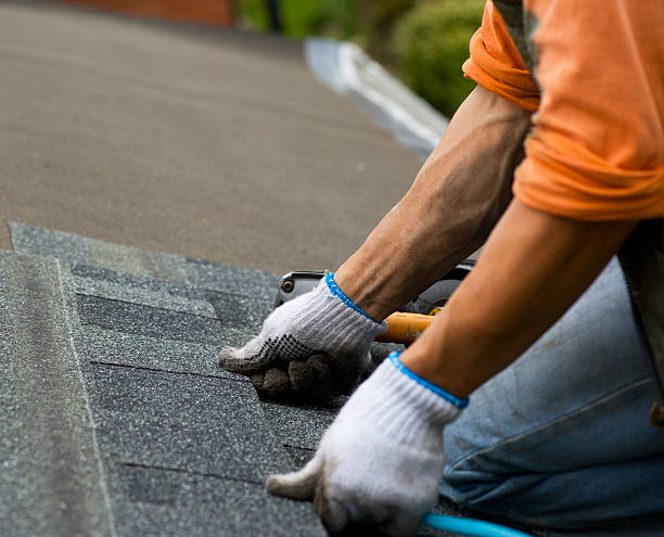 Best Roof Leak Repair  in Leisuretowne, NJ